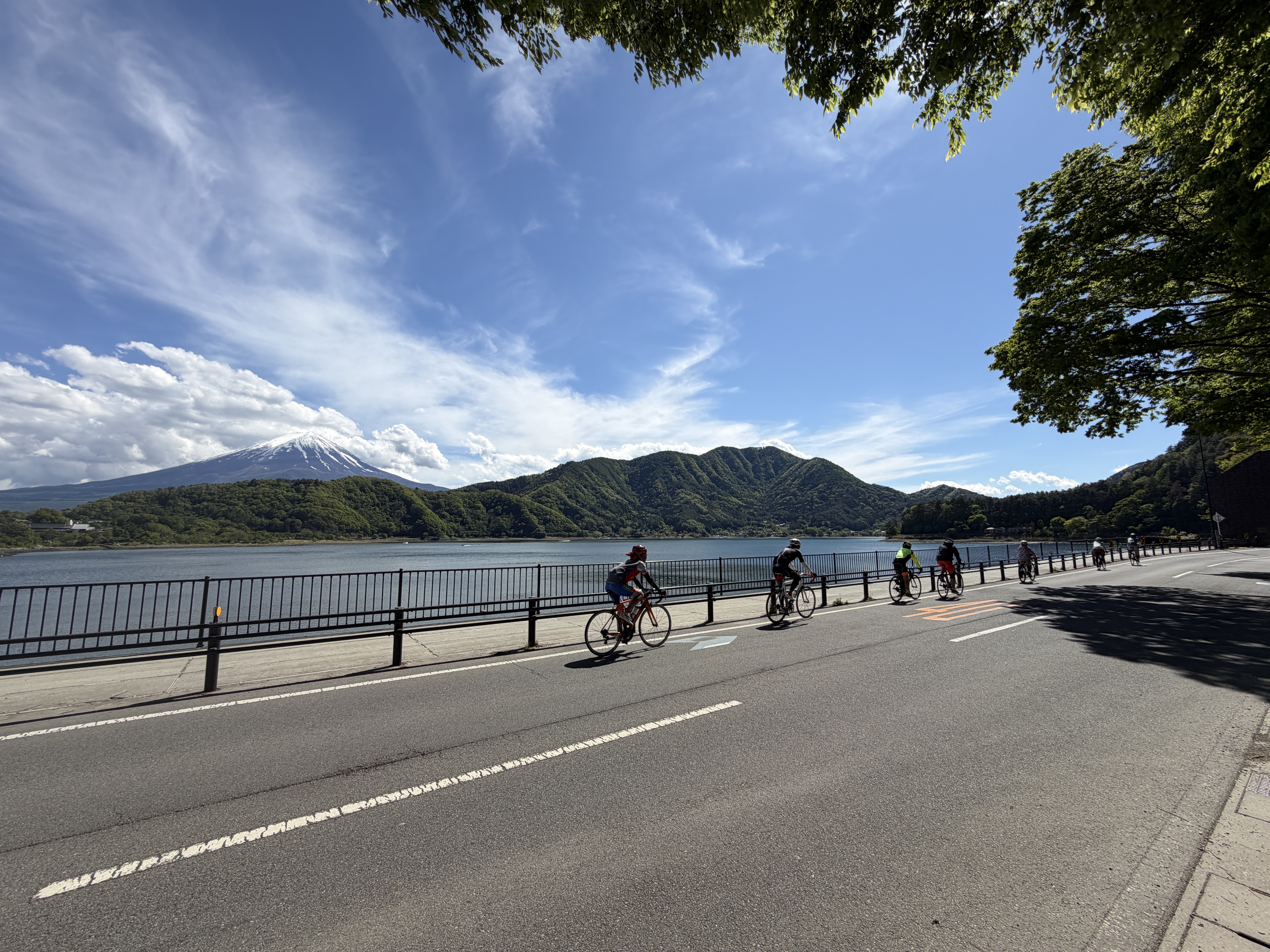 湖畔のサイクリングロード
