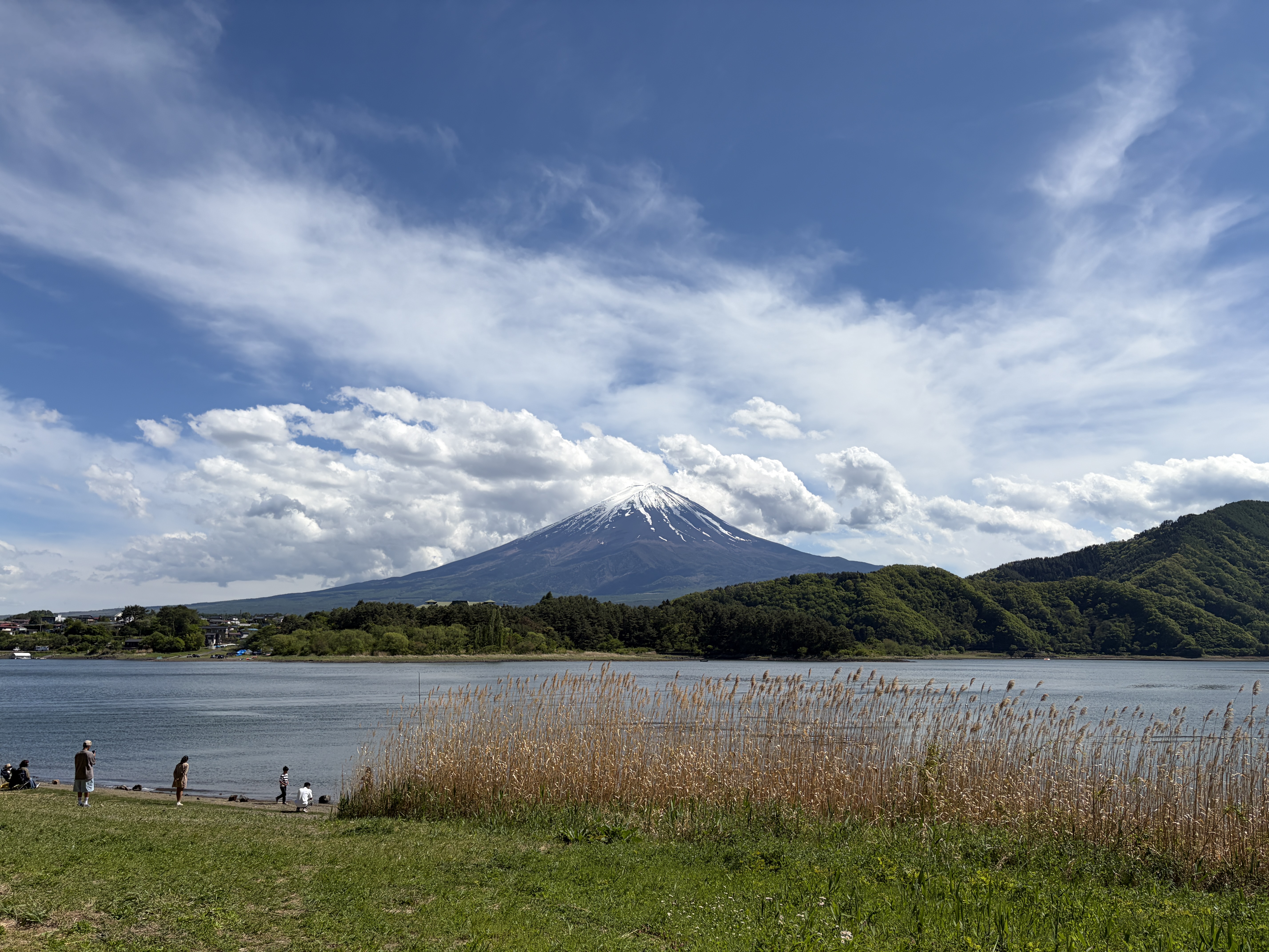 河口湖畔